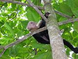 Costa Rica - Manuel Antonio - 11